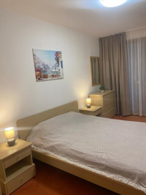 Old Inn Apartment Bansko